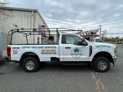Vehicle Graphics Photo